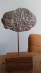 Jeannette: eigen project