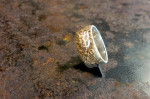zilver met goudvijlsel. Opduikende Buddah beeltenis